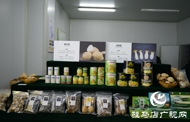 泌陽縣：依托特色產(chǎn)業(yè)撐起縣域經(jīng)濟發(fā)展“脊梁”