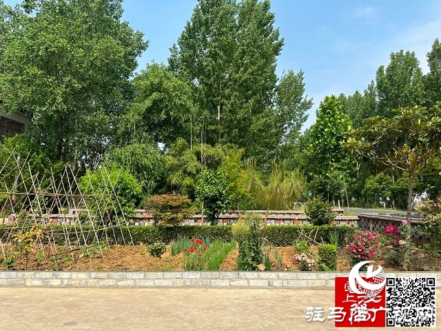 泌陽縣郭集鎮(zhèn):車在景中行 人在畫中走 人居環(huán)境整治現(xiàn)成效