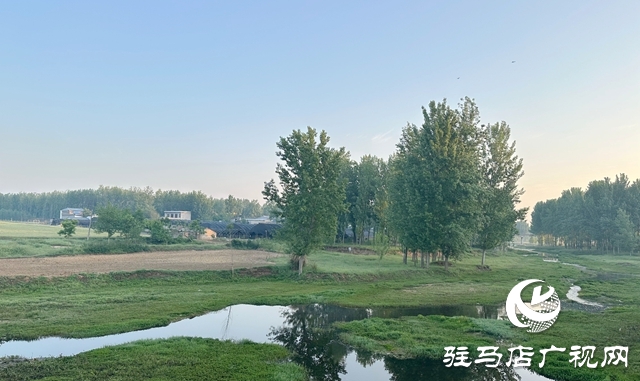 泌陽縣郭集鎮:未雨綢繆 打好防汛“主動仗”