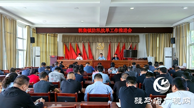 泌陽縣郭集鎮:未雨綢繆 打好防汛“主動仗”