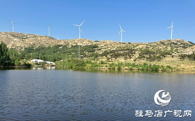 泌陽縣郭集鎮:未雨綢繆 打好防汛“主動仗”