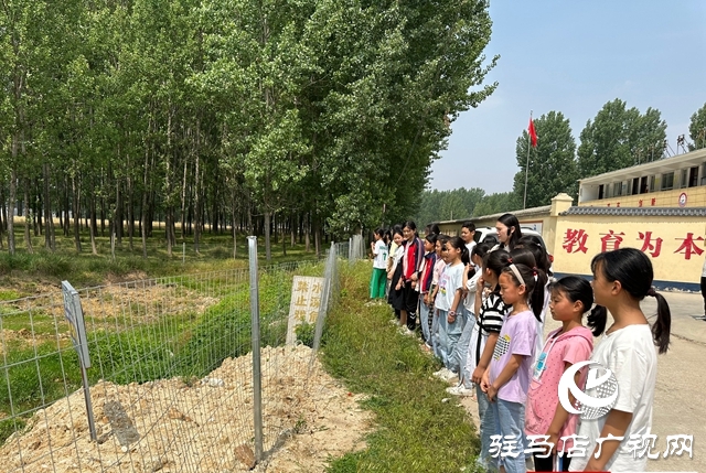 泌陽縣郭集鎮:未雨綢繆 打好防汛“主動仗”