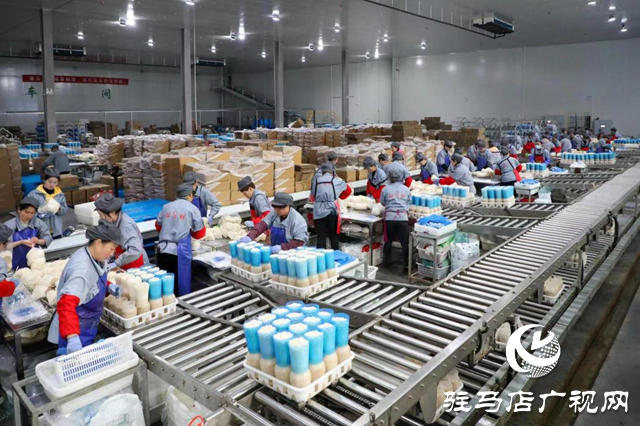 泌陽：講好新&ldquo;菇&rdquo;事 加快建設&ldquo;中國菌都&rdquo;