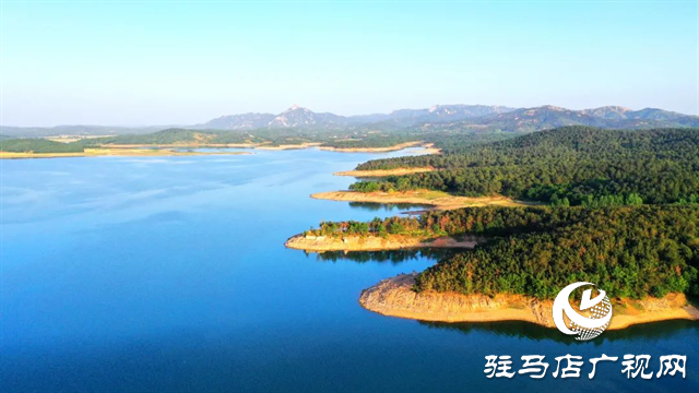 六月的泌陽，美出圈了！