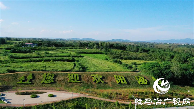 六月的泌陽，美出圈了！