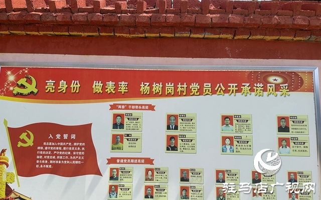 泌陽縣郭集鎮：創建“文明幸福星” 一枝一葉總關情