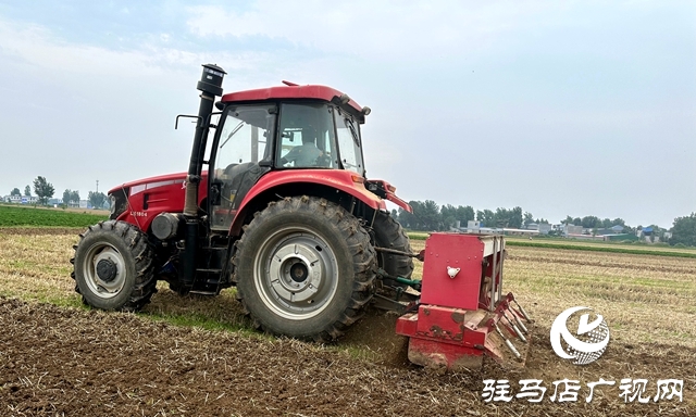 泌陽縣郭集鎮：推廣大豆玉米帶狀復合種植 實現“一地雙收”