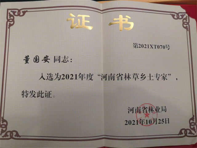 泌陽大磨山“野生大青桃”即將成熟！歡迎采摘！