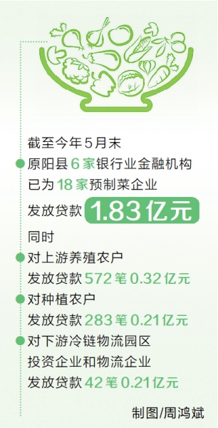 新時代 新征程 新偉業(yè)丨金融添薪“炒香”預制菜