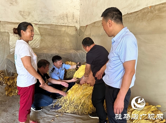 泌陽縣郭集鎮：“保姆式”服務助力煙農豐產增收