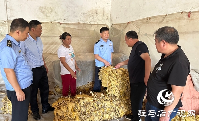 泌陽縣郭集鎮：“保姆式”服務助力煙農豐產增收