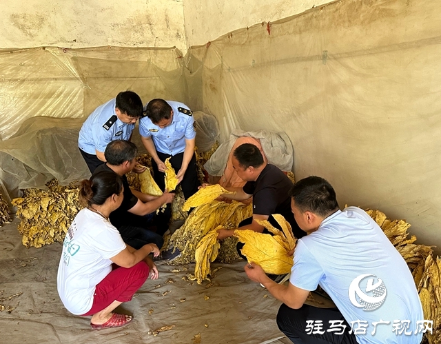 泌陽縣郭集鎮楊樹崗村駐村工作隊：發揮行業優勢 助力群眾致富