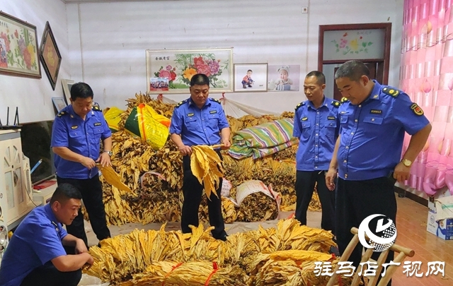 泌陽縣郭集鎮：金葉飄香收購季 服務煙農助增收