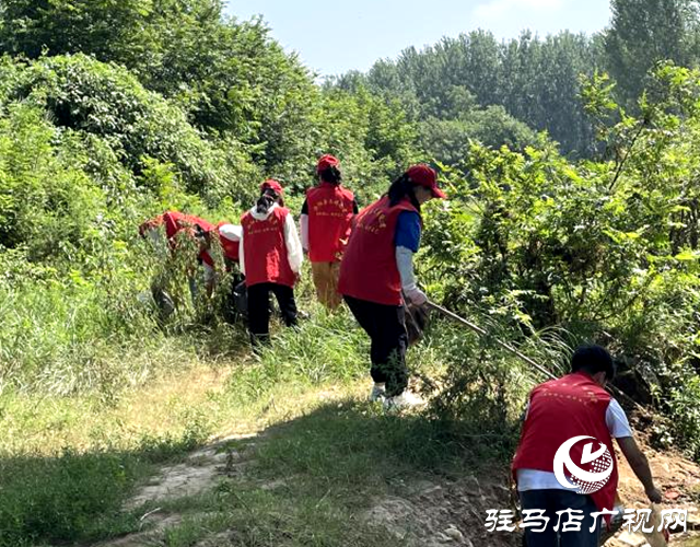 泌陽(yáng)縣盤(pán)古鄉(xiāng)：&ldquo;河&rdquo;我在一起 凈灘守護(hù)志愿行