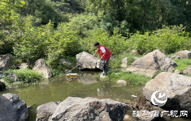 泌陽(yáng)縣盤(pán)古鄉(xiāng)：&ldquo;河&rdquo;我在一起 凈灘守護(hù)志愿行