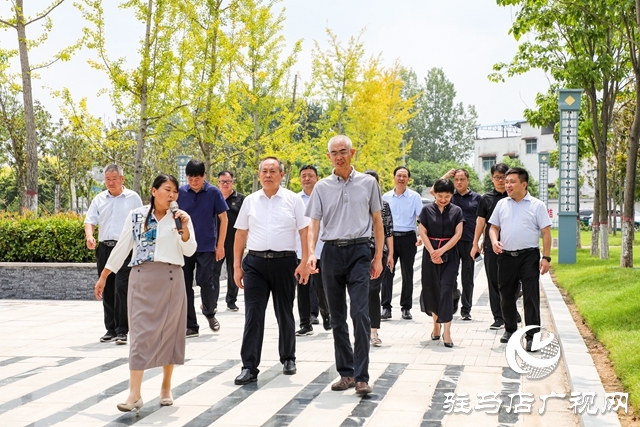 岳卷中調研泌陽國土綠化工作