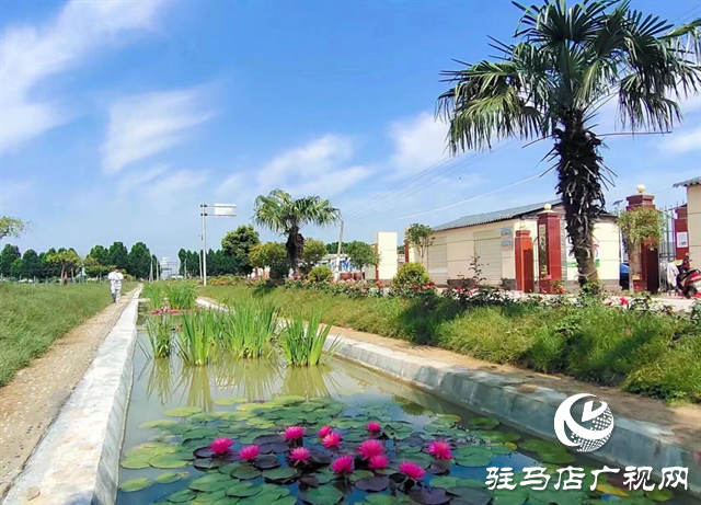 汝南縣羅店鄉:產業發展多元化 鄉村振興動力足