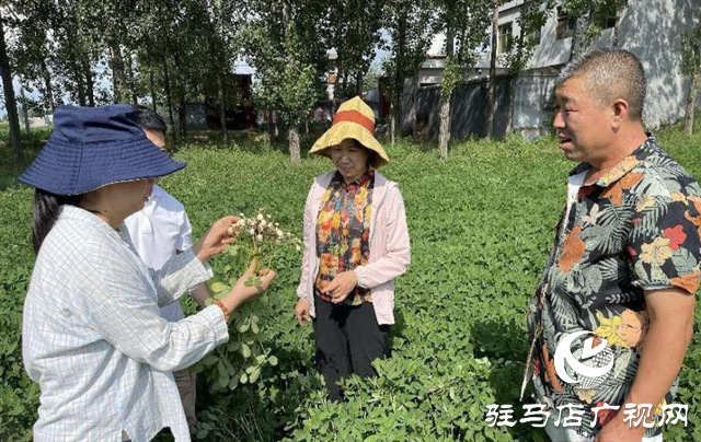 泌陽：農技服務到田間