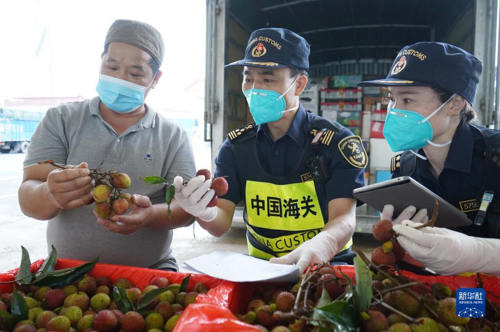  學思想、強黨性、重實踐、建新功丨海關總署：扛穩守國門促發展重任 以更大作為推動主題教育入心見行