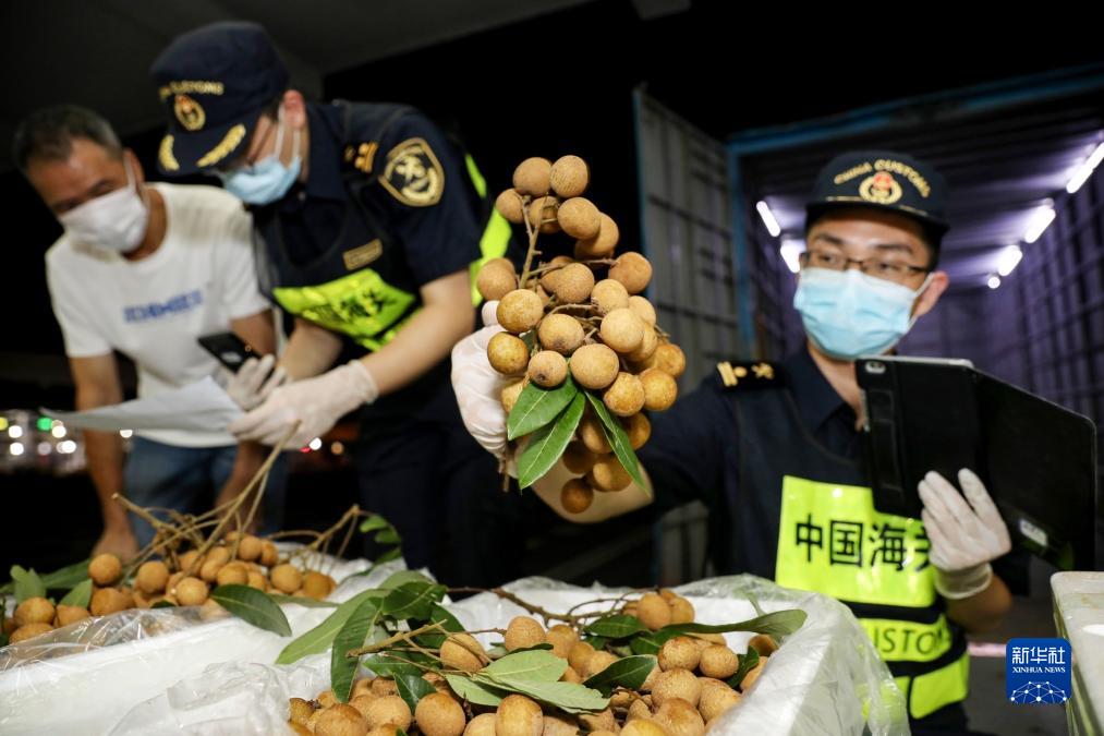  學思想、強黨性、重實踐、建新功丨海關總署：扛穩守國門促發展重任 以更大作為推動主題教育入心見行