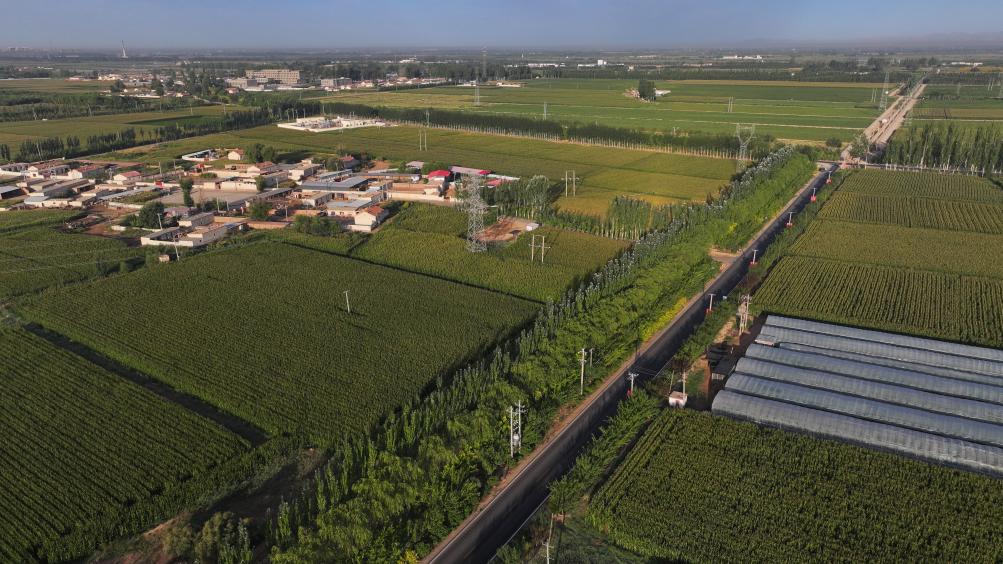 新時代新征程新偉業·習近平總書記關切事丨黃河之水天上來,奔流到此“青”幾許——黃河“幾字彎”生態治理一線故事