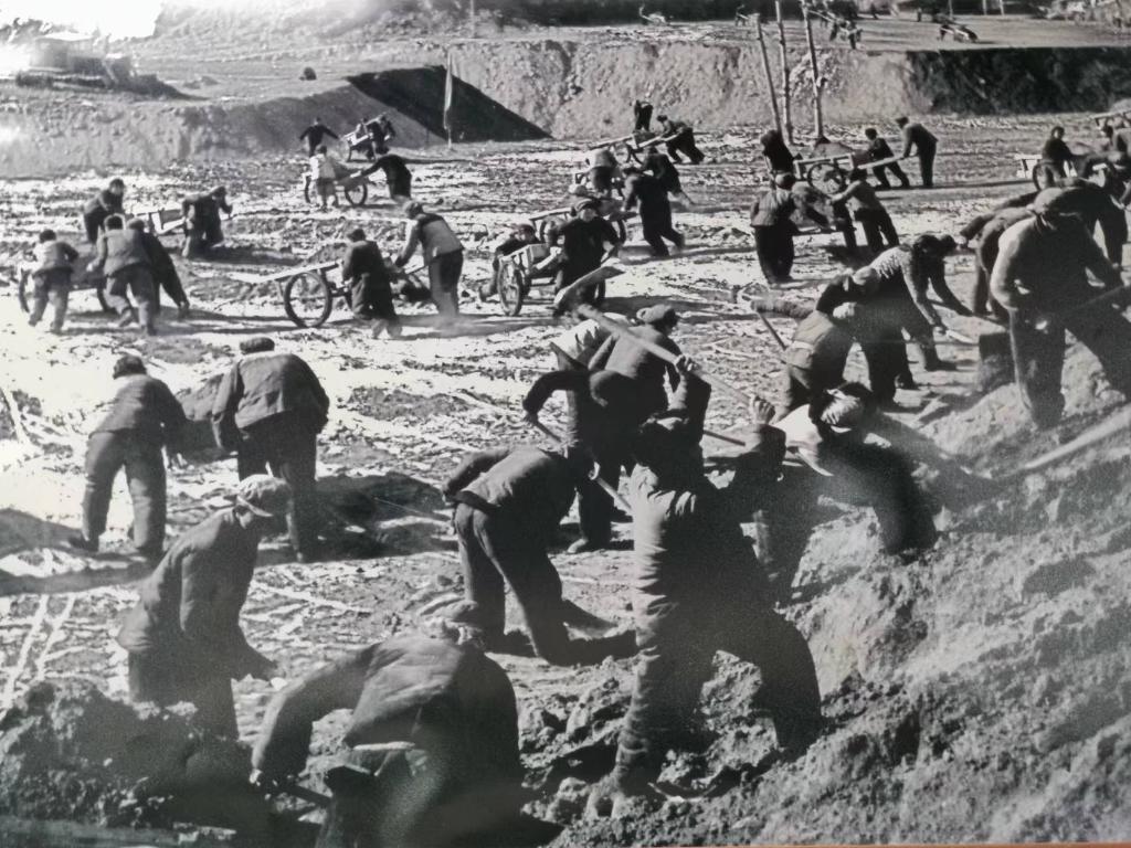 新時代新征程新偉業·習近平總書記關切事丨黃河之水天上來,奔流到此“青”幾許——黃河“幾字彎”生態治理一線故事