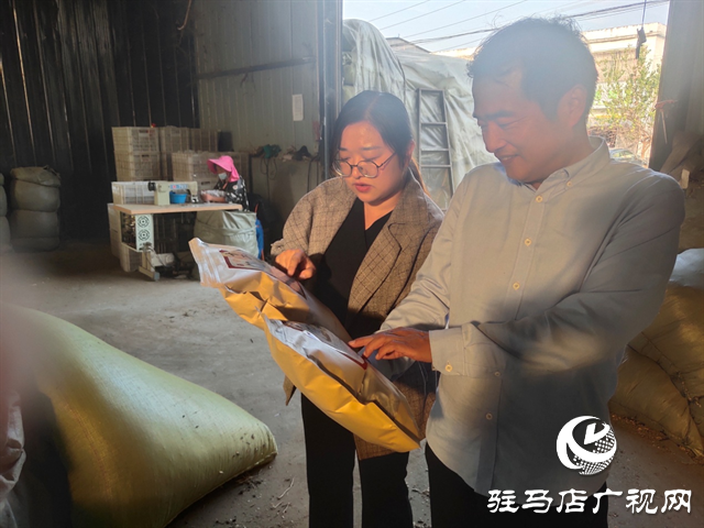 泌陽縣：&ldquo;小艾草&rdquo;成為鄉(xiāng)村振興路上的&ldquo;致富寶&rdquo;