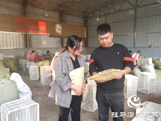 泌陽縣：&ldquo;小艾草&rdquo;成為鄉(xiāng)村振興路上的&ldquo;致富寶&rdquo;