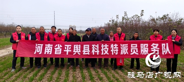 平輿縣：打通農業科技成果轉化&ldquo;最后一公里&rdquo;