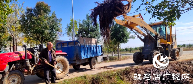 泌陽縣楊家集鎮開展&ldquo;秋冬&rdquo;農村人居環境整治工作