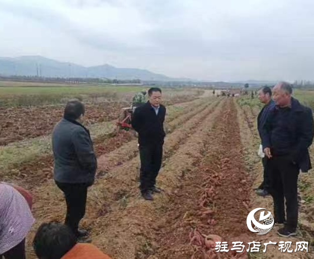 汝南縣付莊鄉：開展秋季禁毒踏查宣傳工作