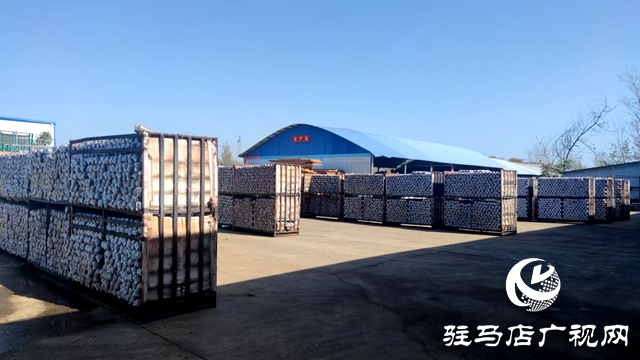 泌陽縣:構建大眾創業平臺 做優香菇種植鏈條