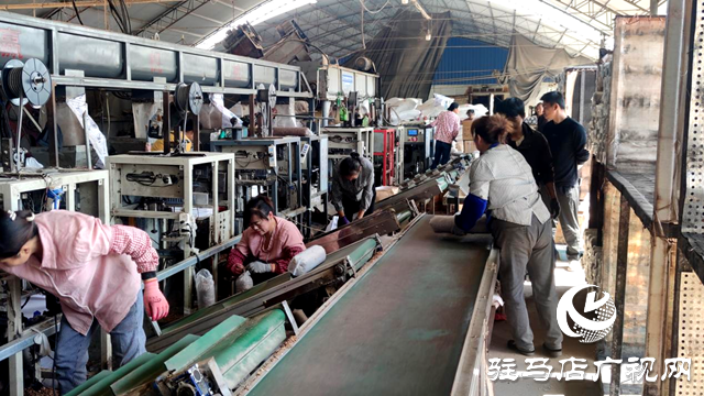 泌陽縣:構建大眾創業平臺 做優香菇種植鏈條