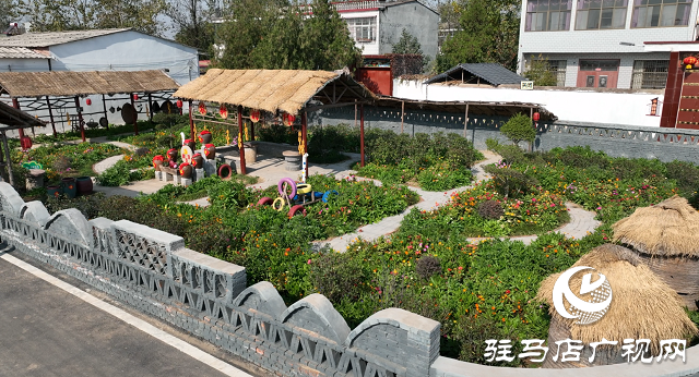 汝南縣金鋪社區：美麗鄉村增顏值 人居環境底色亮