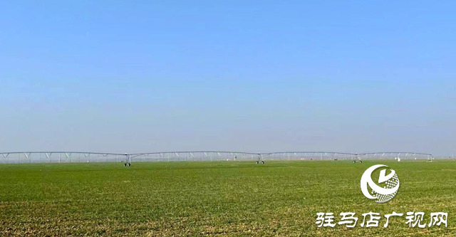 駐馬店：推進高標準農田建設 夯實糧食安全根基