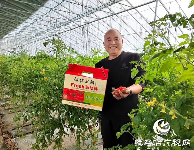 汝南縣：發展特色產業 助力鄉村振興