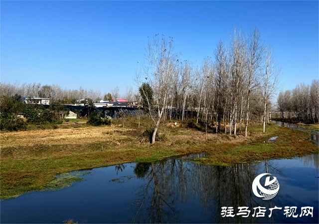 泌陽縣郭集鎮:全面落實河長制工作