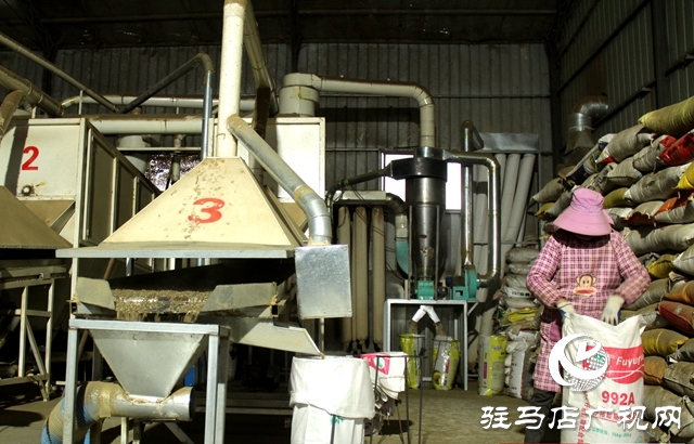 泌陽縣黃山口鄉：中藥材成為群眾致富金&ldquo;藥&rdquo;匙