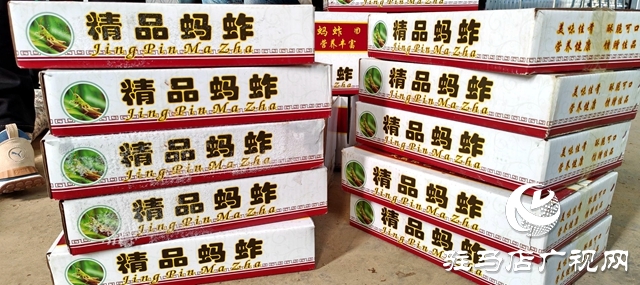 平輿縣萬(wàn)冢鎮(zhèn)牛莊村：小螞蚱&ldquo;蹦&rdquo;出致富路助村民飛&ldquo;蝗&rdquo;騰達(dá)