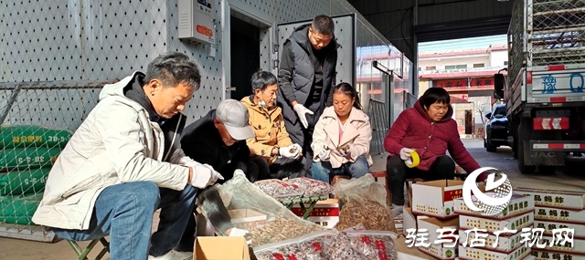 平輿縣萬(wàn)冢鎮(zhèn)牛莊村：小螞蚱&ldquo;蹦&rdquo;出致富路助村民飛&ldquo;蝗&rdquo;騰達(dá)