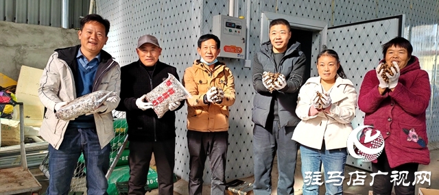 平輿縣萬(wàn)冢鎮(zhèn)牛莊村：小螞蚱&ldquo;蹦&rdquo;出致富路助村民飛&ldquo;蝗&rdquo;騰達(dá)