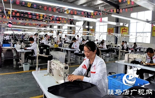 平輿縣:“一鄉(xiāng)一業(yè)、一村一品”促振興