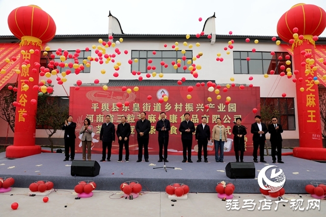 平輿縣 &ldquo;三園&rdquo;同構(gòu) 鏈動(dòng)產(chǎn)業(yè)促振興