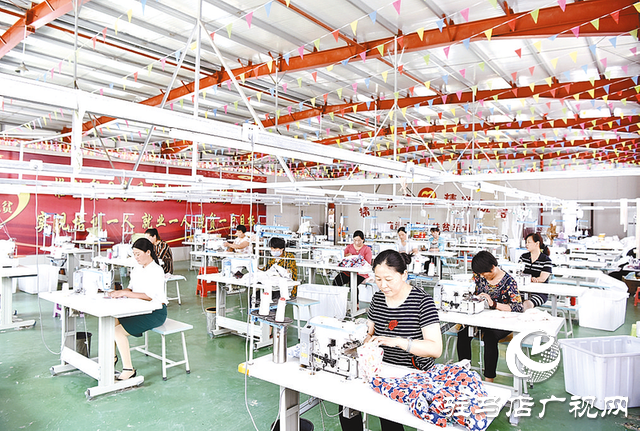 平輿縣 &ldquo;三園&rdquo;同構(gòu) 鏈動(dòng)產(chǎn)業(yè)促振興