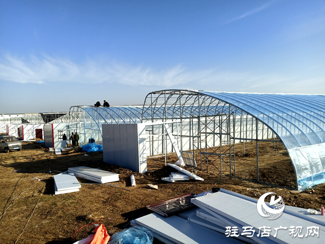 汝南縣古塔街道：小草莓映紅鄉村振興&ldquo;莓&rdquo;好生活