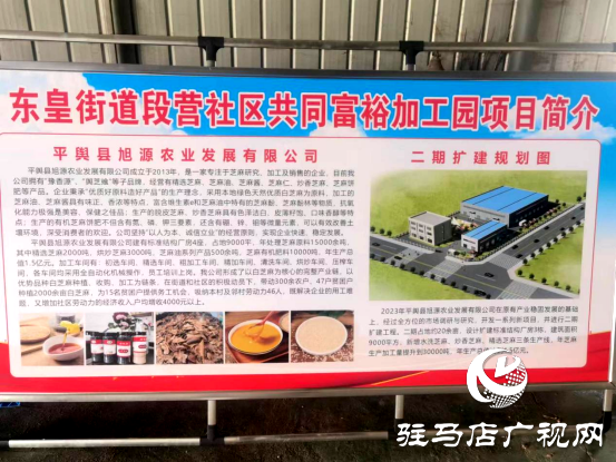 平輿縣：&ldquo;三園&rdquo;建設吹響鄉村產業振興沖鋒號