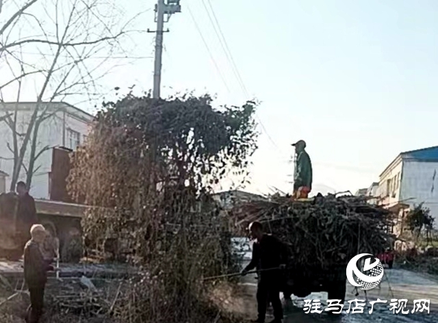 泌陽縣象河鄉：整治人居環境，助力鄉村振興