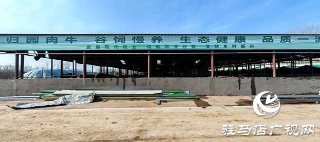 出彩新農(nóng)人||80后&ldquo;養(yǎng)牛大王&rdquo;馬海瑞：希望每個家庭都吃上放心好牛肉