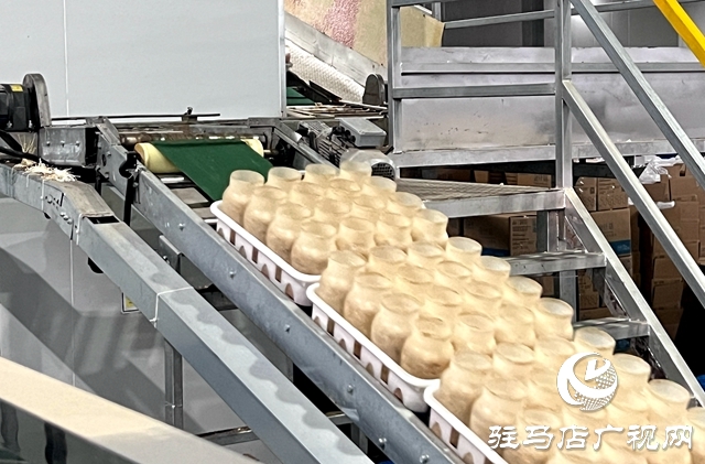 泌陽縣：凝聚產業發展合力 助力工業強縣加速度