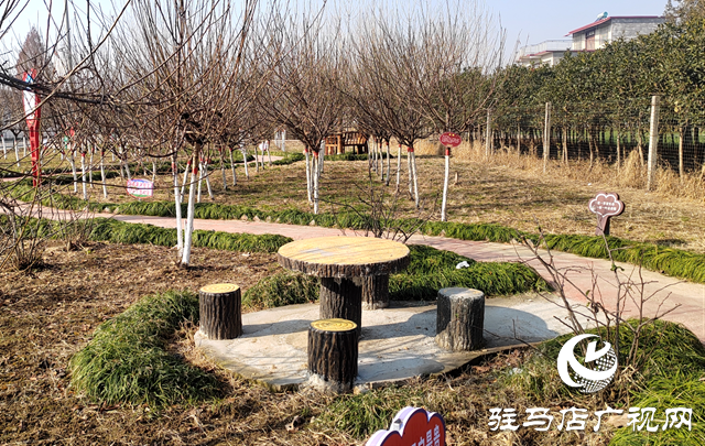 汝南縣：堅持&ldquo;三個聚焦&rdquo;持續開展村莊清潔行動